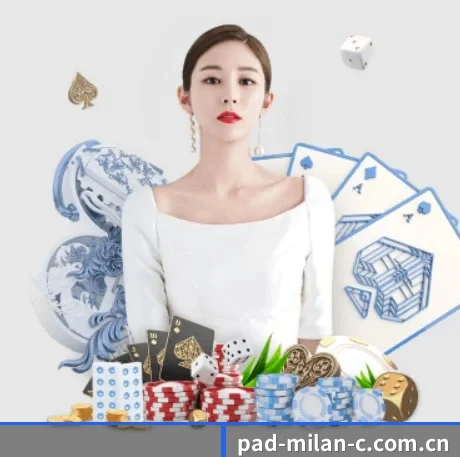 全球扩展 - 注册用户突破千万级,业务版图扩展至全球多个华人聚集地区。